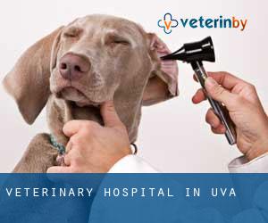 Veterinary Hospital in Uva