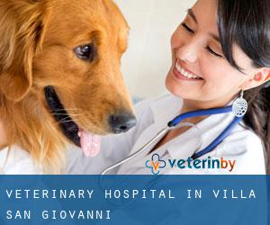 Veterinary Hospital in Villa San Giovanni