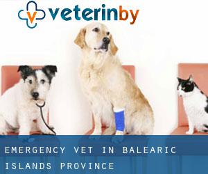 Emergency Vet in Balearic Islands (Province)