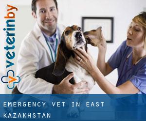 Emergency Vet in East Kazakhstan