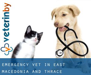 Emergency Vet in East Macedonia and Thrace