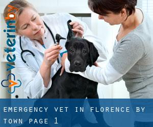 Emergency Vet in Florence by town - page 1