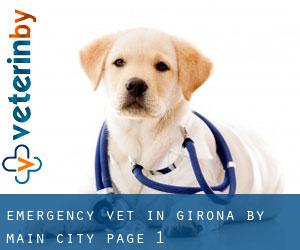 Emergency Vet in Girona by main city - page 1