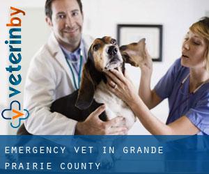 Emergency Vet in Grande Prairie County