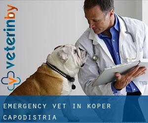 Emergency Vet in Koper-Capodistria