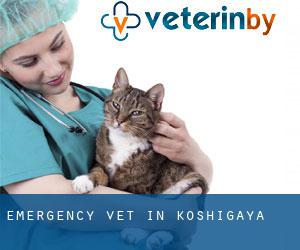 Emergency Vet in Koshigaya