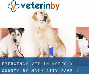 Emergency Vet in Norfolk County by main city - page 1