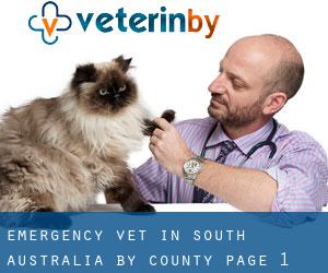 Emergency Vet in South Australia by County - page 1