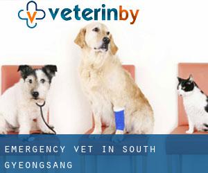Emergency Vet in South Gyeongsang
