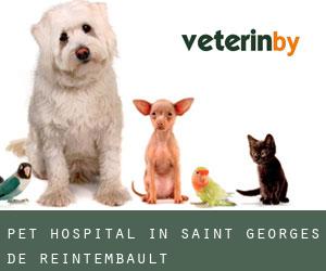 Pet Hospital in Saint-Georges-de-Reintembault