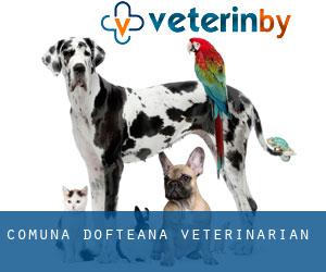 Comuna Dofteana veterinarian