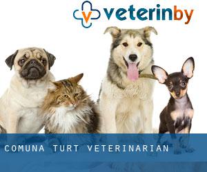 Comuna Turţ veterinarian