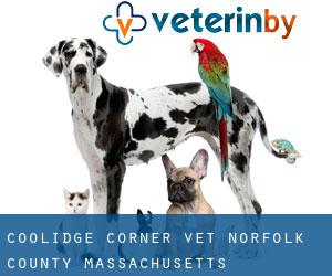 Coolidge Corner vet (Norfolk County, Massachusetts)