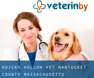 Hoicks Hollow vet (Nantucket County, Massachusetts)