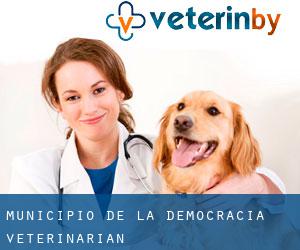 Municipio de La Democracia veterinarian