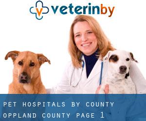 pet hospitals by County (Oppland county) - page 1