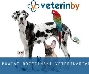 Powiat brzeziński veterinarian