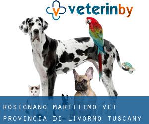 Rosignano Marittimo vet (Provincia di Livorno, Tuscany)