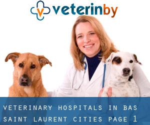 veterinary hospitals in Bas-Saint-Laurent (Cities) - page 1