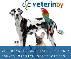 veterinary hospitals in Essex County Massachusetts (Cities) - page 1