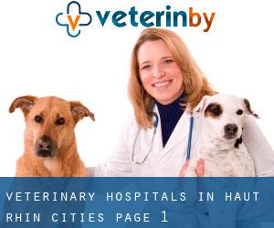 veterinary hospitals in Haut-Rhin (Cities) - page 1