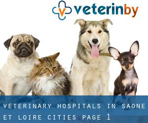 veterinary hospitals in Saône-et-Loire (Cities) - page 1
