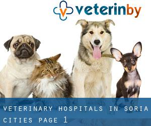 veterinary hospitals in Soria (Cities) - page 1