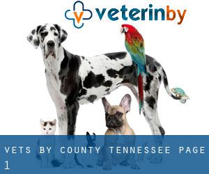vets by County (Tennessee) - page 1