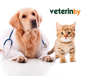 Uppsala vet doctor