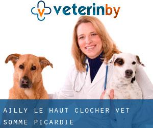Ailly-le-Haut-Clocher vet (Somme, Picardie)