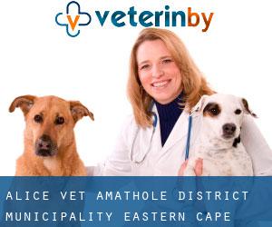 Alice vet (Amathole District Municipality, Eastern Cape)