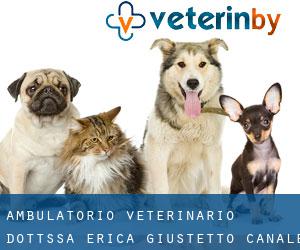 Ambulatorio Veterinario dott.ssa Erica Giustetto (Canale)