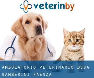 Ambulatorio Veterinario D.Ssa Gamberini (Faenza)