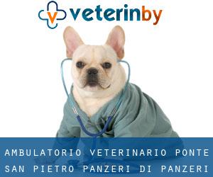 Ambulatorio Veterinario Ponte San Pietro Panzeri Di Panzeri Oliviero