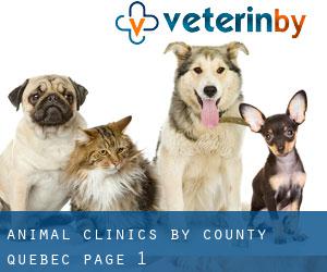 animal clinics by County (Quebec) - page 1