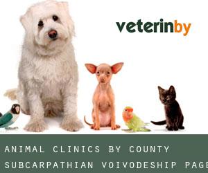 animal clinics by County (Subcarpathian Voivodeship) - page 1