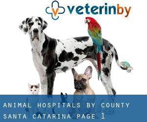 animal hospitals by County (Santa Catarina) - page 1