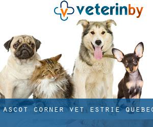 Ascot Corner vet (Estrie, Quebec)