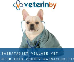 Babbatasset Village vet (Middlesex County, Massachusetts)
