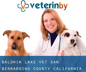 Baldwin Lake vet (San Bernardino County, California)