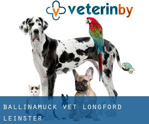 Ballinamuck vet (Longford, Leinster)