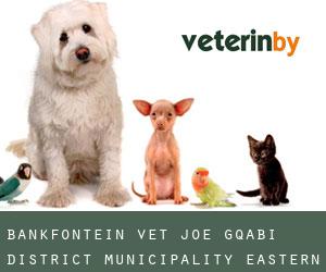 Bankfontein vet (Joe Gqabi District Municipality, Eastern Cape)