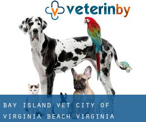Bay Island vet (City of Virginia Beach, Virginia)