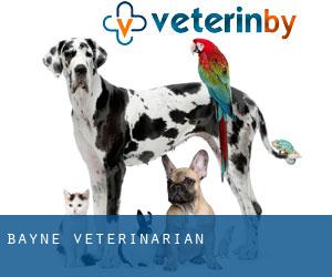 Bayne veterinarian