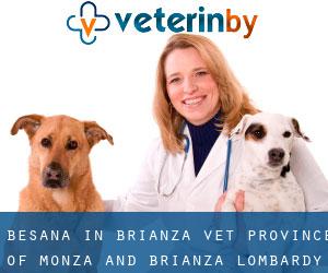 Besana in Brianza vet (Province of Monza and Brianza, Lombardy)