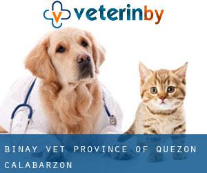 Binay vet (Province of Quezon, Calabarzon)