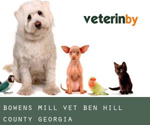 Bowens Mill vet (Ben Hill County, Georgia)