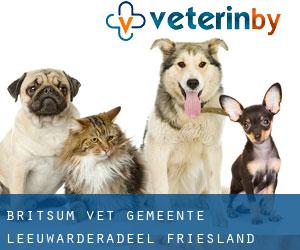 Britsum vet (Gemeente Leeuwarderadeel, Friesland)