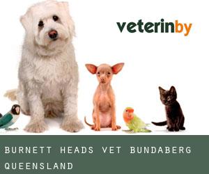Burnett Heads vet (Bundaberg, Queensland)