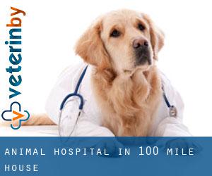 Animal Hospital in 100 Mile House